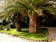 VILLA VRANJEŠ, OPATIJA