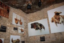 JAMA VRTARE MALE, DRAMALJ