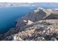 ORNITOLOŠKI REZERVAT KUNTREP, KRK