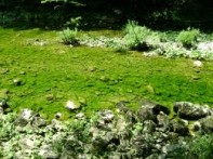 ŠETNICA UZ RJEČINU