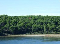 ŠUMA DUNDO, OTOK RAB