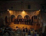 LJETNE PRIREDBE, KRK, LIPANJ-KOLOVOZ 2014.