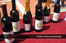 KRČKA VINSKA PROMENADA, SVIBANJ 2014.