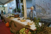VINARIJA BENVENUTI, MOTOVUN