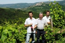 VINARIJA BENVENUTI, MOTOVUN