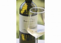 VINARIJA BENVENUTI, MOTOVUN