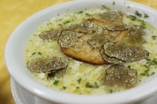 KONOBA POD VOLTOM, MOTOVUN