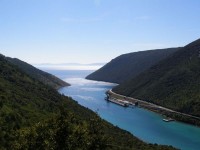 PLOMIN