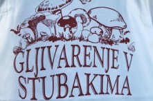 GLJIVARENJE V STUBAKIMA 