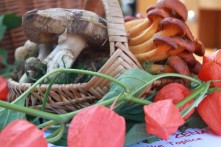 GLJIVARENJE V STUBAKIMA 