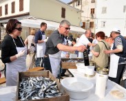 MALA RIBARSKA AKADEMIJA SARDELA, FAŽANA, 26.04.-31.08.2014.