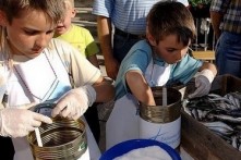 MALA RIBARSKA AKADEMIJA SARDELA, FAŽANA, 26.04.-31.08.2014.