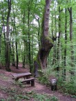 POVIJESNO - POUČNA STAZA KAMENJAK U STUBIČKIM TOPLICAMA