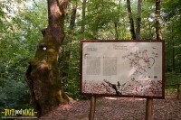 POVIJESNO - POUČNA STAZA KAMENJAK U STUBIČKIM TOPLICAMA