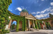 MIROGOJ