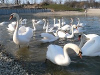 BICIKLISTIČKO ROLERSKA STAZA - JEZERO BUNDEK