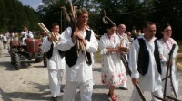 ZELENA LIVADA, VOLAVJE, LJETO 2013.