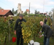 VINCEKOVO, MARTIN BREG, SIJEČANJ 2013.
