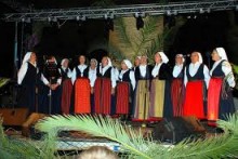 PRIVLAČKA NOĆ, PRIVLAKA, 04.08.2014.