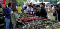 DANI CVIJEĆA U SVETOM FILIP I JAKOVU, TRAVANJ 2014.