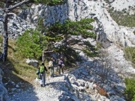 PJEŠAČENJE I PLANINARENJE PELJEŠCEM