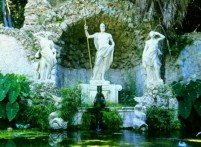 ARBORETUM TRSTENO