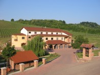 VINA ZDJELAREVIĆ, BRODSKI STUPNIK