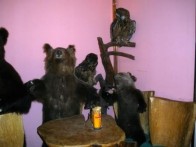 RESTORAN MACOLA, KORENICA