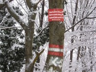 KAJBUMŠČAKOV PUT