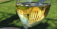BOLFAN SAUVIGNON, BOLFAN VINSKI VRH