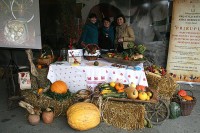 BUČIJADA U IVANIĆU, IVANIĆ-GRAD, LISTOPAD 2017.